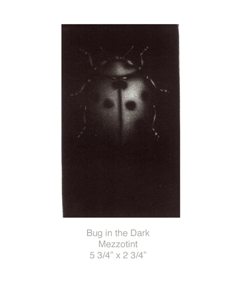 Bug in the Dark-gallery