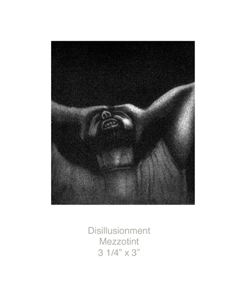 disullusion-gallery